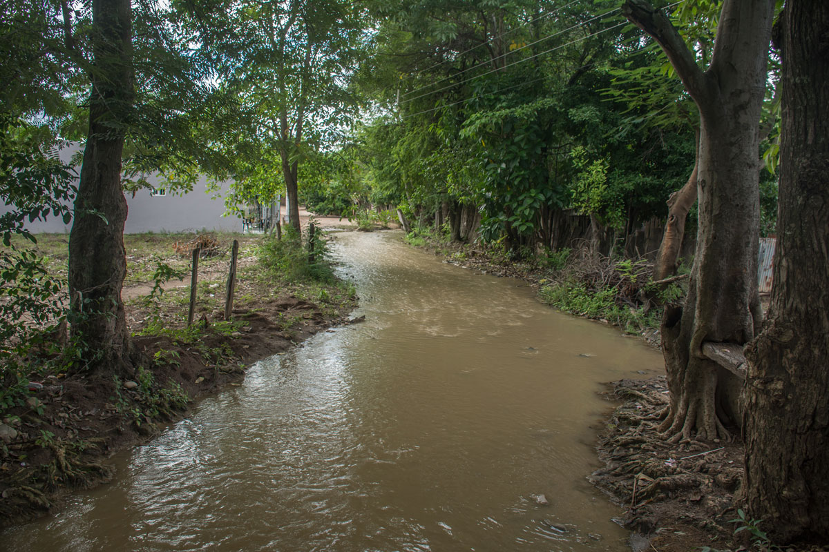 Acequia que proviene del manantial de Cañaverales,  Créditos foto: Camilo Ara 