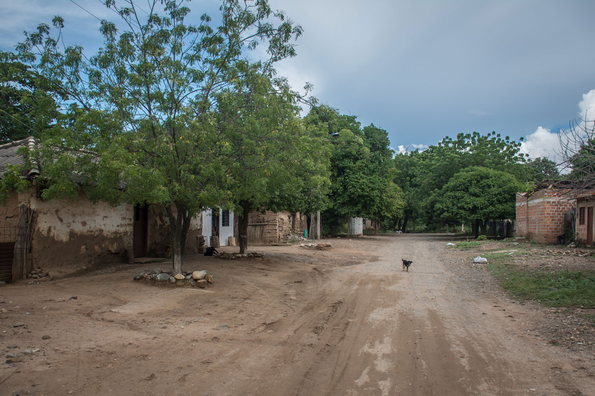 Cañaverales, La Guajira Créditos foto: Camilo Ara 