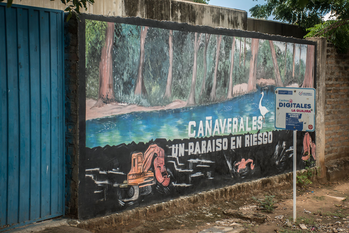 Cañaverales un paraíso en riesgo, Créditos foto: Camilo Ara 