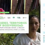 MUJERES, TERRITORIOS Y BIODIVERSIDAD: OPORTUNIDADES DESDE LA  REGIÓN ANDINO-AMAZÓNICA PARA LA COP16
