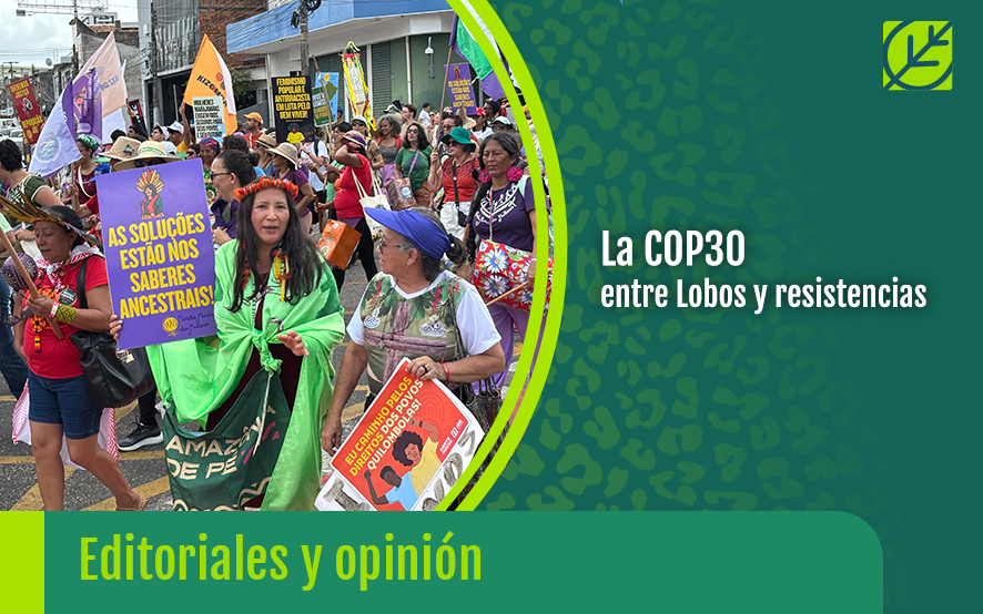 Fotografia de marcha de los pueblos en el marco de la COP30 del año 2025
