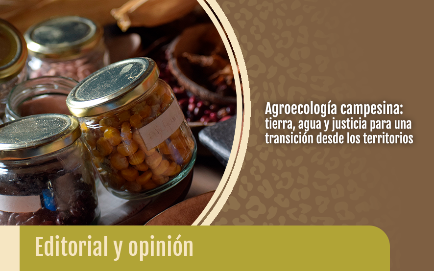 opinión Agroecología campesina: tierra, agua y justicia para una transición desde los territorios